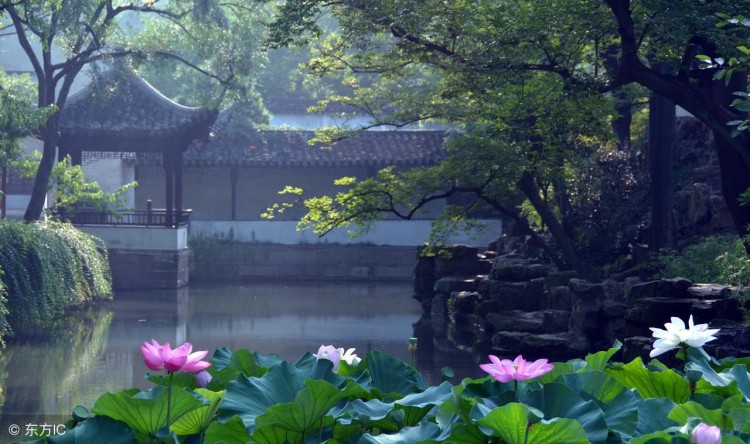 移动电话号码前3位数,暴露了你是什么样的人